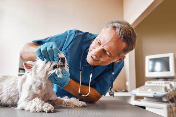 Best Emergency Root Canal Treatment in Barrackville, WV